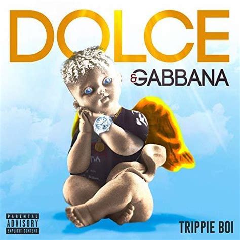 dolce gabbana trippie